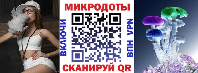 Галлюциногенные грибы Psilocybe  Себеж 
